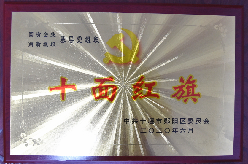 基層黨組織“十面紅旗”2020